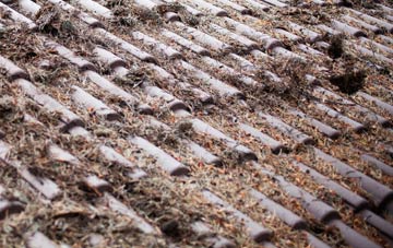 Marnhull roof cleaning companies