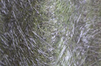 Marnhull fibreglass roof work